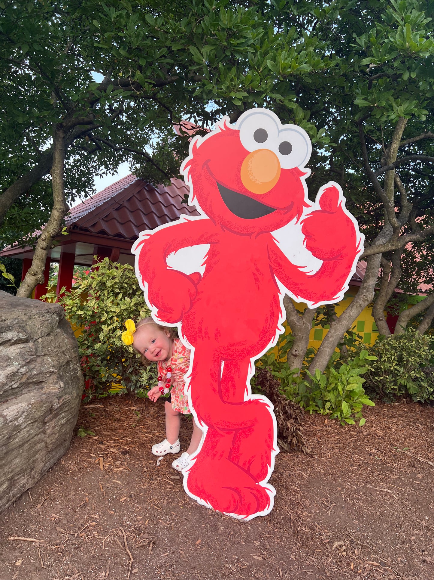 Elmo’s World